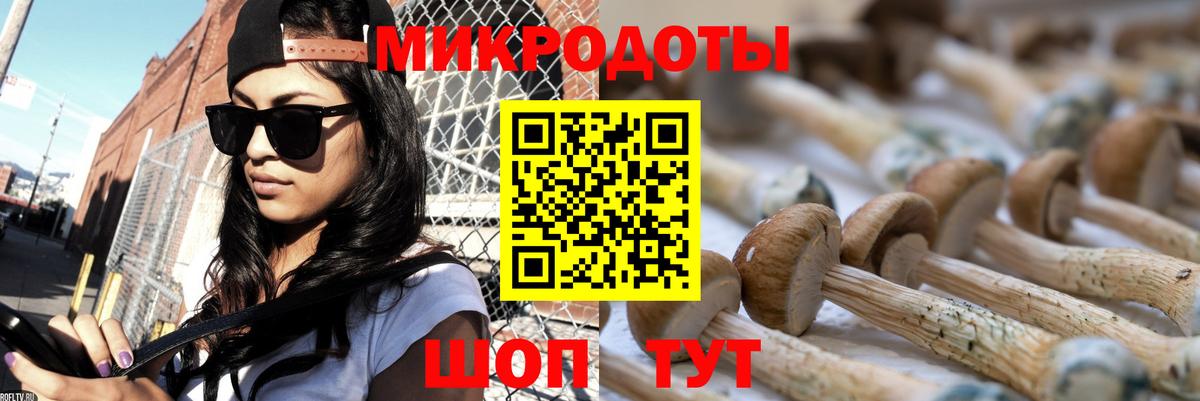 где продают наркотики  Псилоцибиновые грибы прущие грибы  Вход с VPN  Самара 